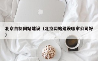 海北北京自制网站建设（北京网站建设哪家公司好）